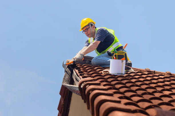 Best Roof Moss and Algae Removal  in Marmora, NJ